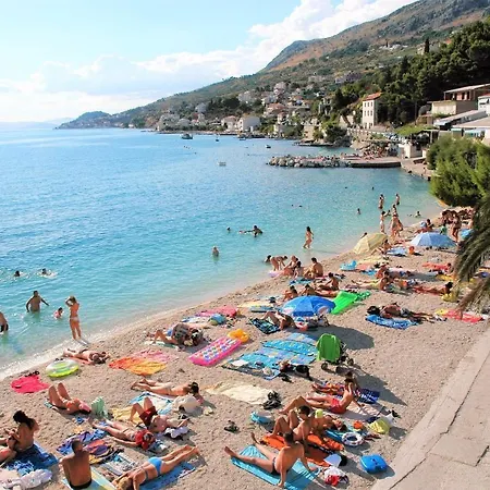 Dingdoong's * Jesenice (Split-Dalmatia)